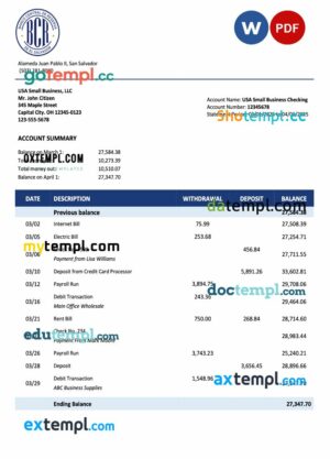 Salvadoran Banco Central de Reserva de Salvadoran firm account statement Word and PDF template