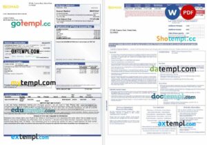 USA Nomad Global bank mortgage statement in Word and PDF formats, 3 pages