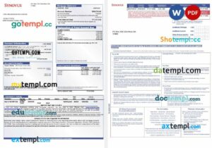 USA Synovus bank mortgage statement in Word and PDF formats, 3 pages