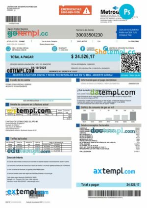 Argentina MetroGAS S.A. factura de gas utility bill template in PSD format
