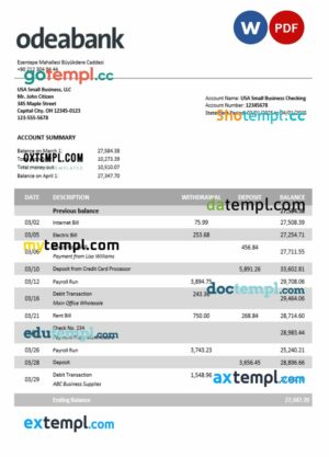 Turkey Odeabank firm account statement Word and PDF template