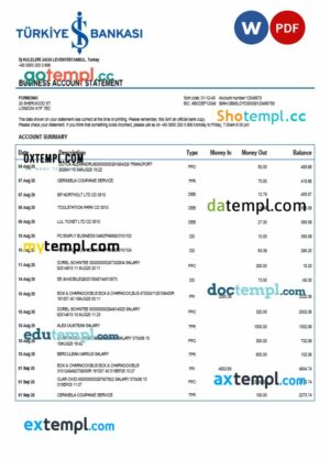 Turkish Bankasi enterprise statement Word and PDF template
