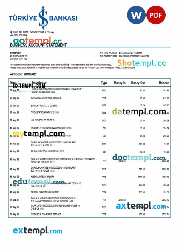 Turkish Bankasi enterprise statement Word and PDF template