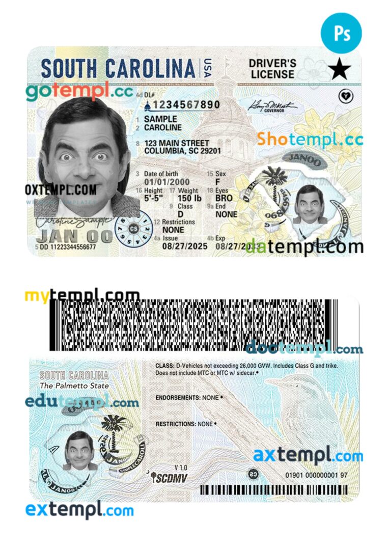 USA South Carolina driving license PSD editable template, 2025-present