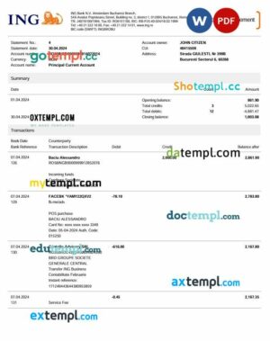 Romania ING bank statement template in Word and PDF format, 3 pages