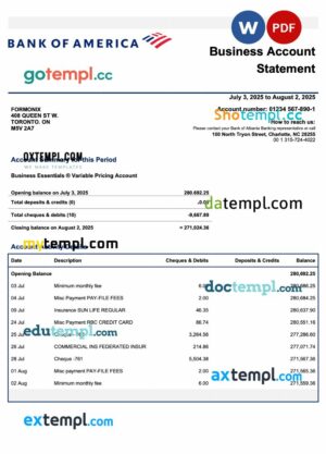 US Bank of America enterprise statement Word and PDF template