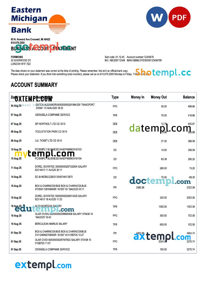 US Eastern Michigan organization checking account statement Word and PDF template