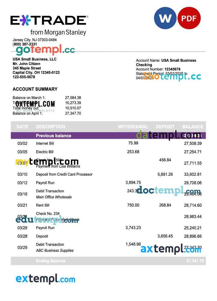 US Etrade company checking account statement Word and PDF template