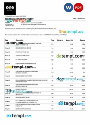 USA 1One Card enterprise statement Word and PDF template