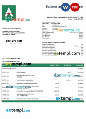 USA ACE business checking account statement Word and PDF template