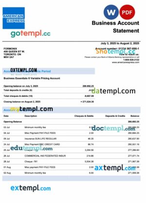 USA American Express firm account statement Word and PDF template