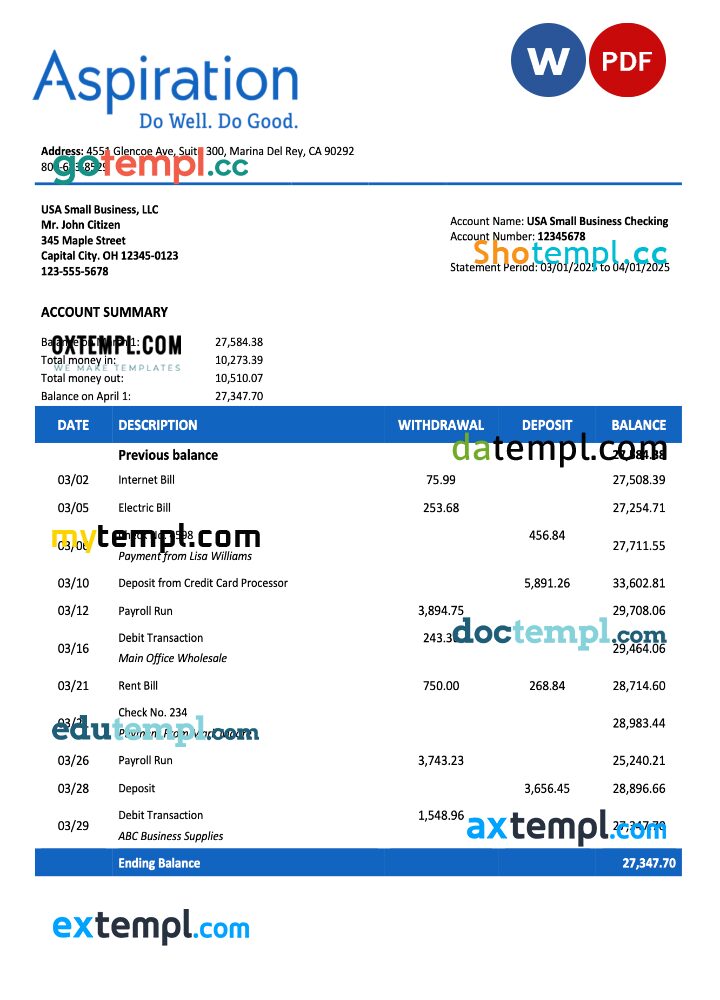 USA Aspirationfirm account statement Word and PDF template