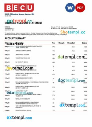 USA BECU organization statement Word and PDF template