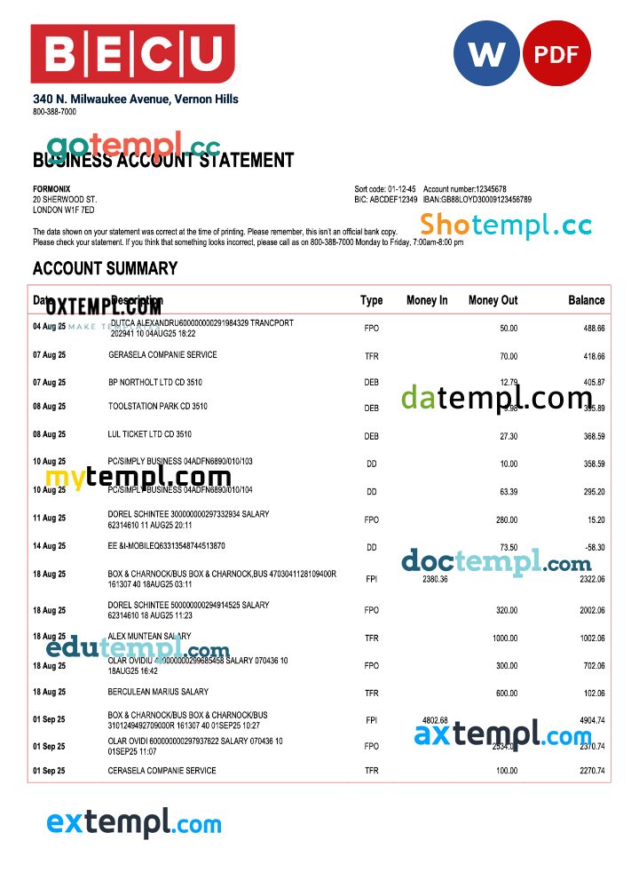 USA BECU organization statement Word and PDF template