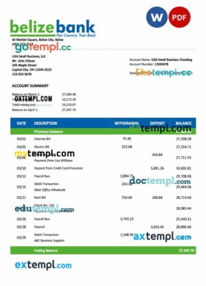 USA Belize Bank organization account statement Word and PDF template