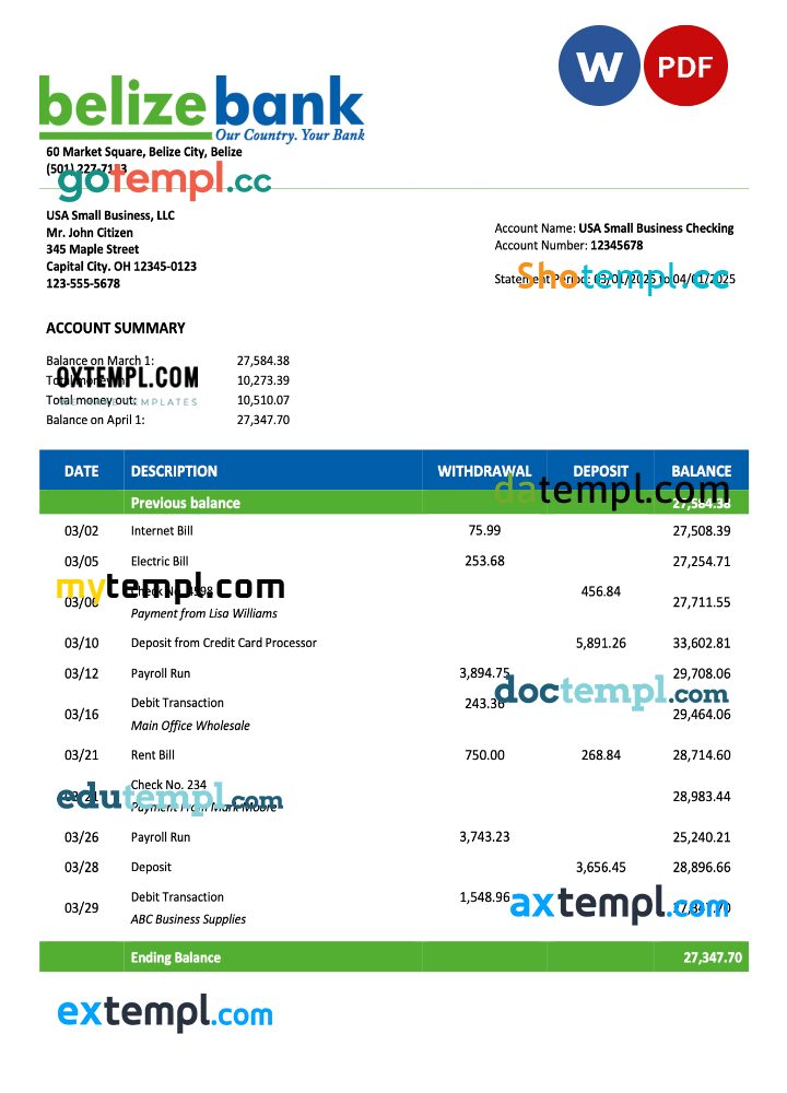 USA Belize Bank organization account statement Word and PDF template