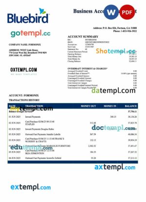 USA Bluebird firm account statement Word and PDF template