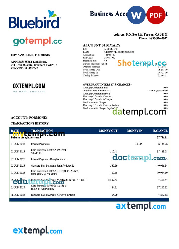USA Bluebird firm account statement Word and PDF template