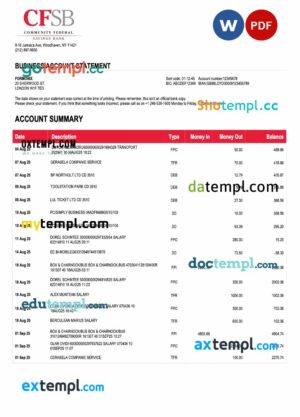 USA CFSB firm account statement Word and PDF template
