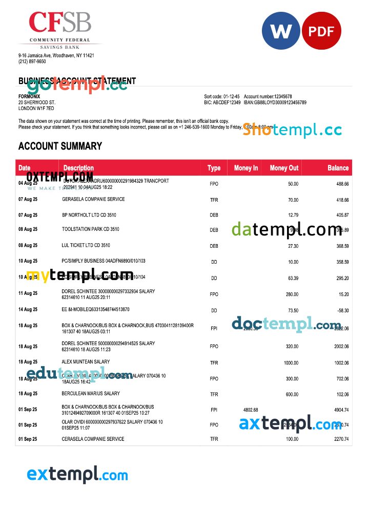 USA CFSB firm account statement Word and PDF template