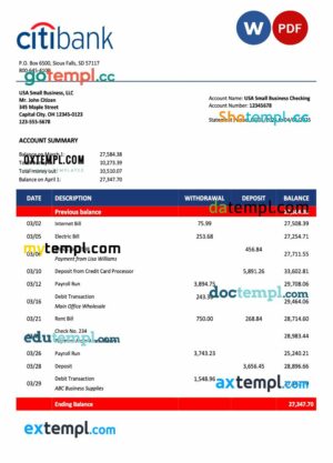 USA Citibank organization statement Word and PDF template