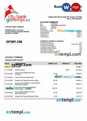 USA City Bank enterprise statement Word and PDF template