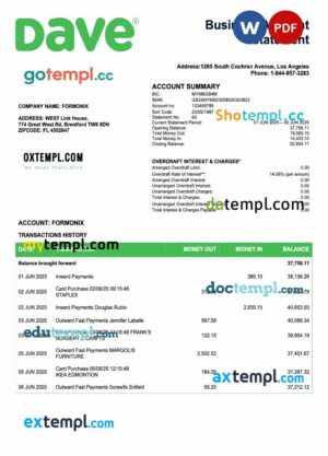USA Dave firm checking account statement Word and PDF template