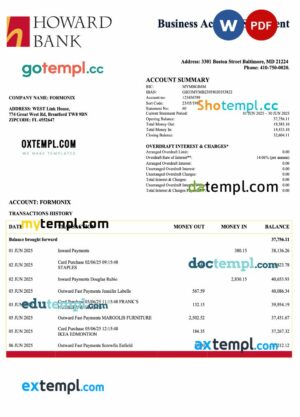 USA Howard corporate statement Word and PDF template