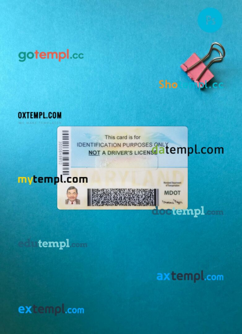 USA Maryland ID card editable PSD files, scan look and photo-realistic look, 2 in 1 - Image 2