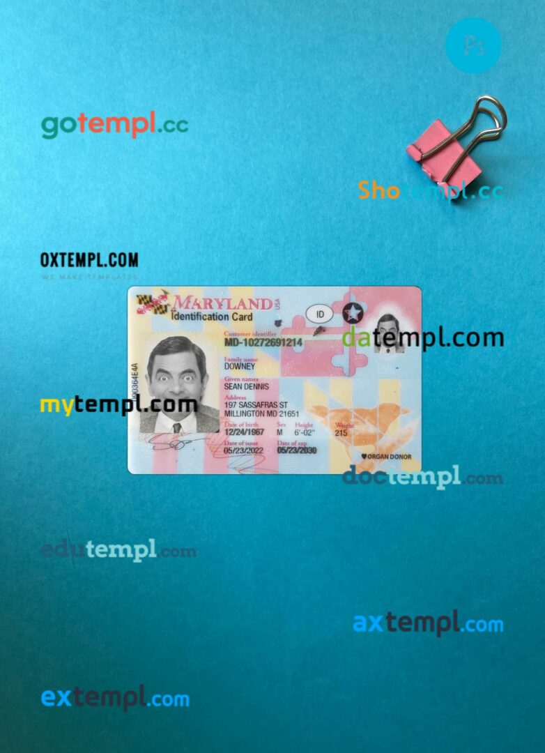 USA Maryland ID card editable PSD files, scan look and photo-realistic look, 2 in 1