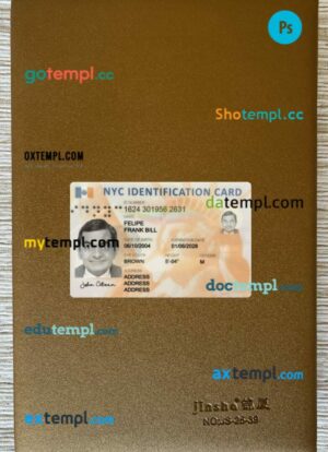 USA New York identification card editable PSD files, scan look and photo-realistic look, 2 in 1