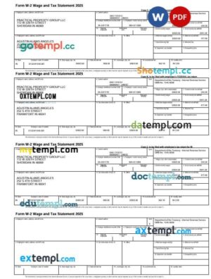 USA Internal Revenue Service Form W-2 Wage and Tax Statement template in Word and PDF formats