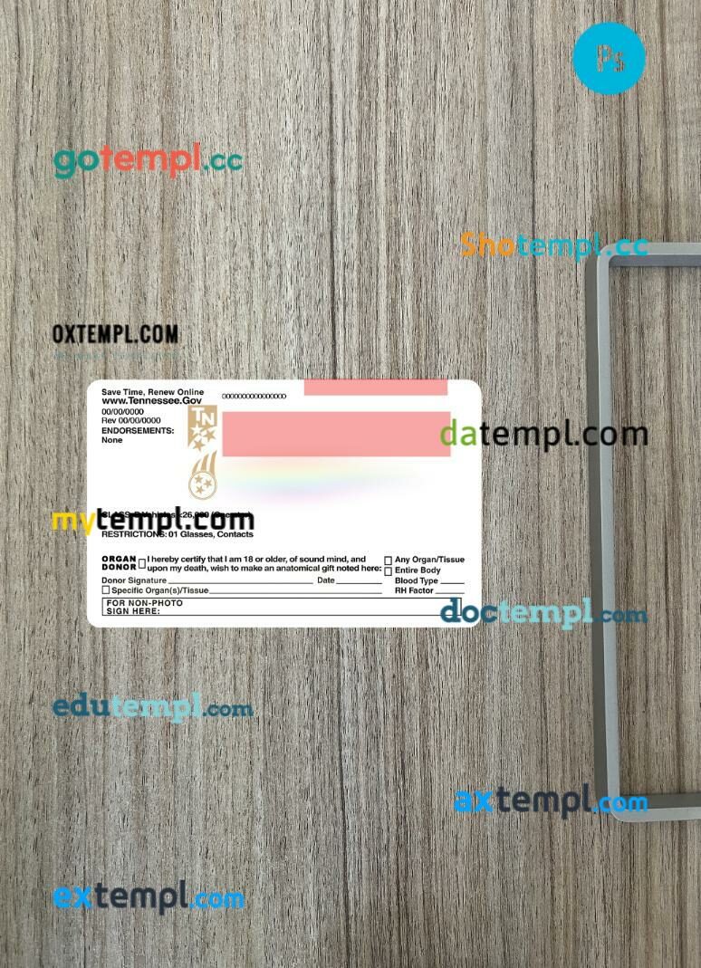 USA Tennessee under 21 driving license PSD files, scan look and photographed image, 2 in 1, 2024-present - Image 2