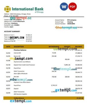 USA International Bank of Chicago business bank statement Word and PDF template