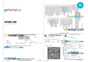 USA New York Department of Motor Vehicles (DMV) - interim driving permit