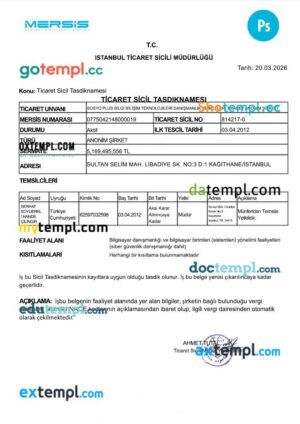 Turkey T.C. İstanbul Ticaret Sicili Müdürlüğü business registration certificate PSD template