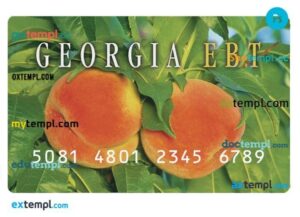 USA Georgia EBT card template in PSD format