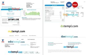 USA Tennessee Valley Authority (TVA) electric utility bill in Word and PDF format